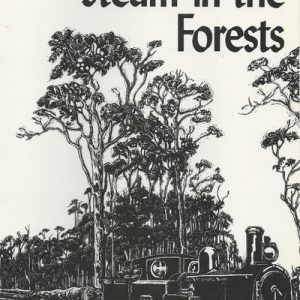 Steam in the Forests