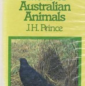 Unusual Habits Of Australian Animals