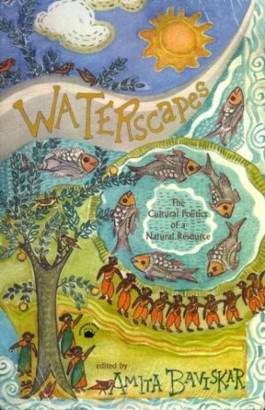 Waterscapes : The Cultural Politics of a Natural Resource