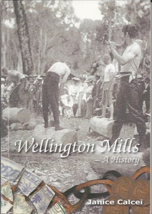 Wellington Mills: A History