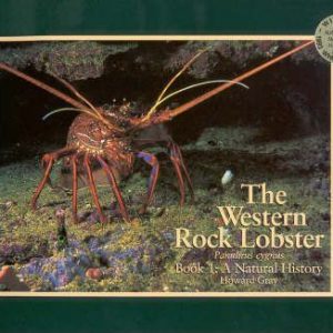 WESTERN ROCK LOBSTER, THE  Panulirus cygnus. (Two Volume set) Book 1: A Natural History Book 2: A History of the Fishery