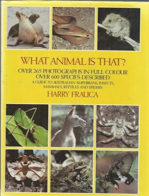 What Animal Is That? A Guide to Australian Amphibians, Insects, Mammals, Reptiles and Spiders
