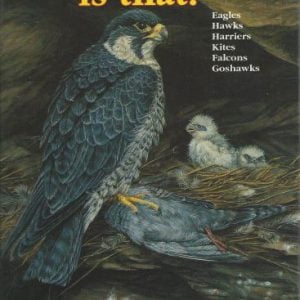 Which bird of prey is that? : A field guide to the identification of Australian birds of prey