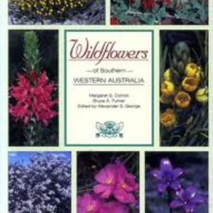 WILDFLOWERS of SOUTHERN WESTERN AUSTRALIA (Hardcover)