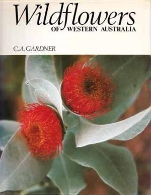 WILDFLOWERS of WESTERN AUSTRALIA