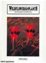 Wildflowers & Plants of Central Australia