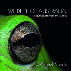 Wildlife of Australia: A Nature Photographer’s Journey
