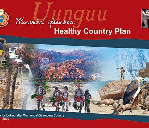 Wunambal Gaambera Healthy Country Plan