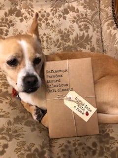 BLIND DATE WITH A BOOK: Kafkaesque
