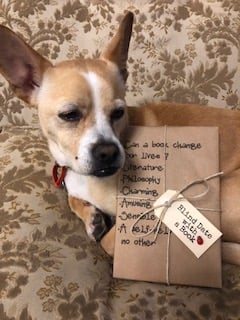 BLIND DATE WITH A BOOK: Can a book change our lives?