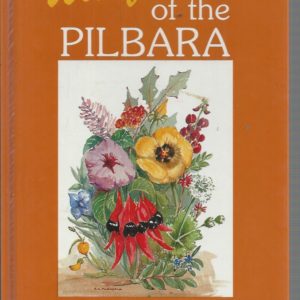 Wildflowers of the Pilbara