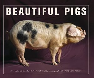 Beautiful Pigs : Portraits of Fine Breeds
