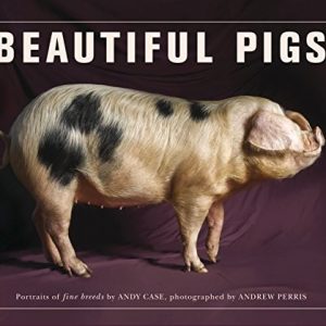 Beautiful Pigs : Portraits of Fine Breeds