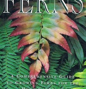 Ferns: A Comprehensive Guide to Growing Ferns for the Home Gardener