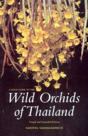 Field Guide to the Wild Orchids of Thailand, A: Fourth and Expanded Edition