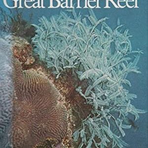 Look At Wildlife Of The Great Barrier Reef, A