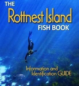 Rottnest Island Fish Book, The : Information and identification guide