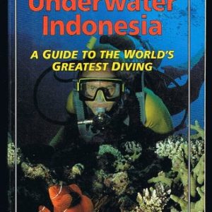 Underwater Indonesia – a Guide to the World’s Greatest Diving