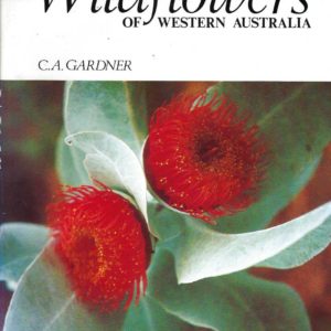 Wildflowers of Western Australia