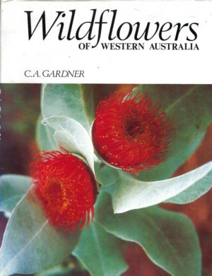 Wildflowers of Western Australia