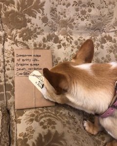 BLIND DATE WITH A BOOK: Dangerous edge of gritty life