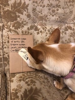 BLIND DATE WITH A BOOK: Dangerous edge of gritty life