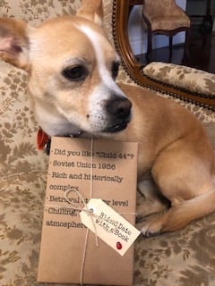 BLIND DATE WITH A BOOK:  Did you like "Child 44"?