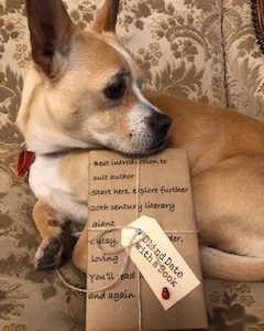 BLIND DATE WITH A BOOK: Best introduction to cult author