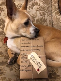 BLIND DATE WITH A BOOK: Best introduction to cult author