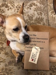 BLIND DATE WITH A BOOK: Atomic War