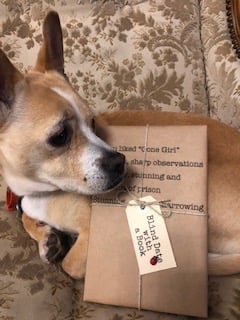 BLIND DATE WITH A BOOK: If you liked "Gone Girl"
