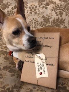 BLIND DATE WITH A BOOK: Lady psychologist cum investigator