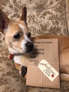 BLIND DATE WITH A BOOK: African Fantasy