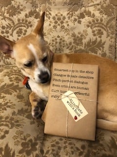 BLIND DATE WITH A BOOK: Smartest cop in the shop