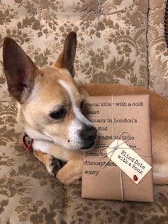 BLIND DATE WITH A BOOK: Serial killer with a cold heart