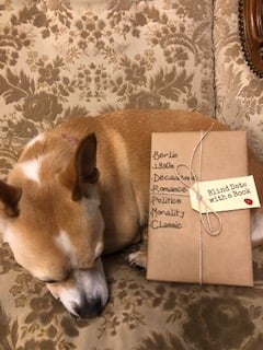 BLIND DATE WITH A BOOK: Berlin