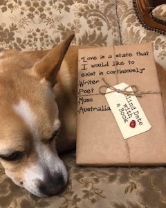 BLIND DATE WITH A BOOK: Love is a state that I would like to exist in continuously