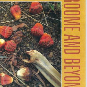 Broome and Beyond: Plants and People of the Dampier Peninsula, Kimberley, Western Australia