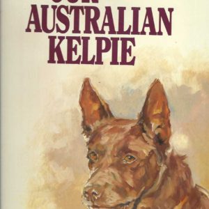 Our Australian Kelpie
