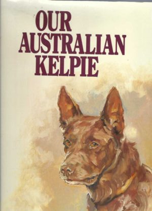 Our Australian Kelpie