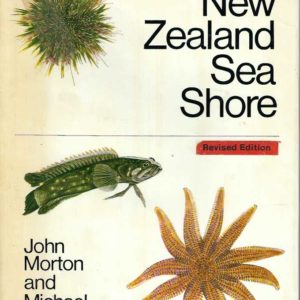New Zealand Sea Shore, The