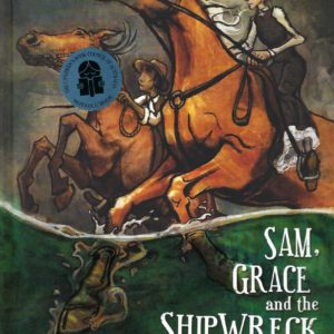 Sam, Grace and the Shipwreck