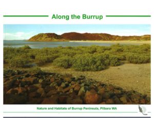 Along the Burrup : Nature and habitats of Burrup Peninsula, Pilbara WA