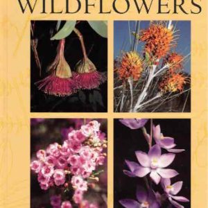 Field Guide To Australian Wildflowers: Over 1000 Common Australian Wildflowers