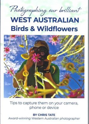 Photographing Our Brilliant West Australian Birds & Wildflowers: Tips to Capture Them on Your Camera, Phone Or Device