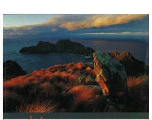 Rakiura: The Wilderness of Stewart Island