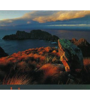 Rakiura: The Wilderness of Stewart Island