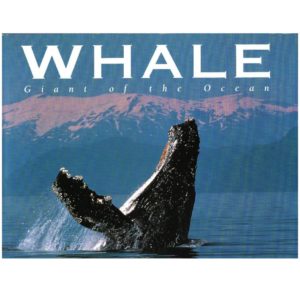 Whale: Giant Of The Ocean