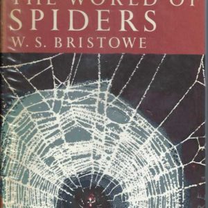 World of Spiders, The