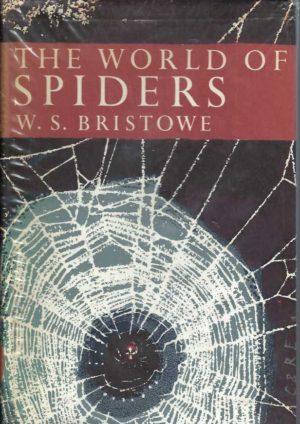 World of Spiders, The